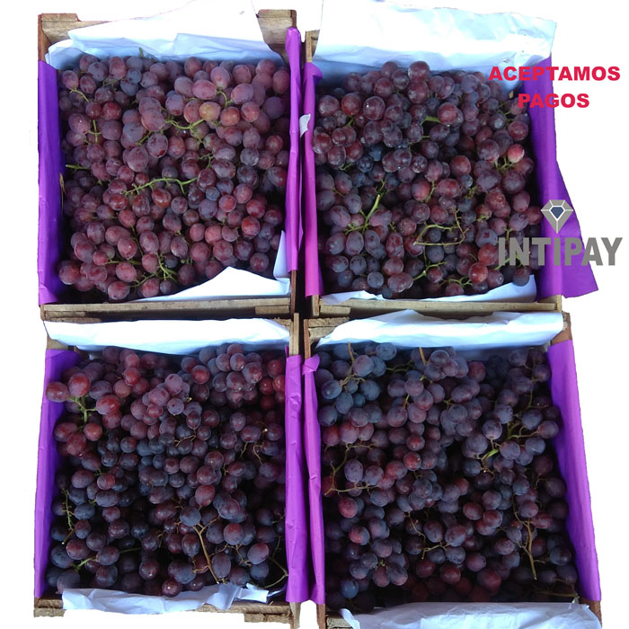 Uva negra 10 kilos 